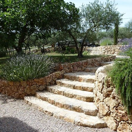 Bed and Breakfast Mas De L'Olivette Cotignac Exterior foto